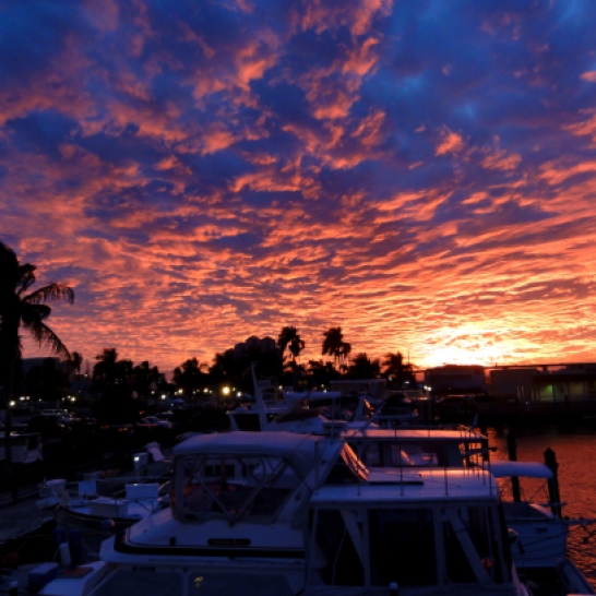 Sunset at Yacht Basin